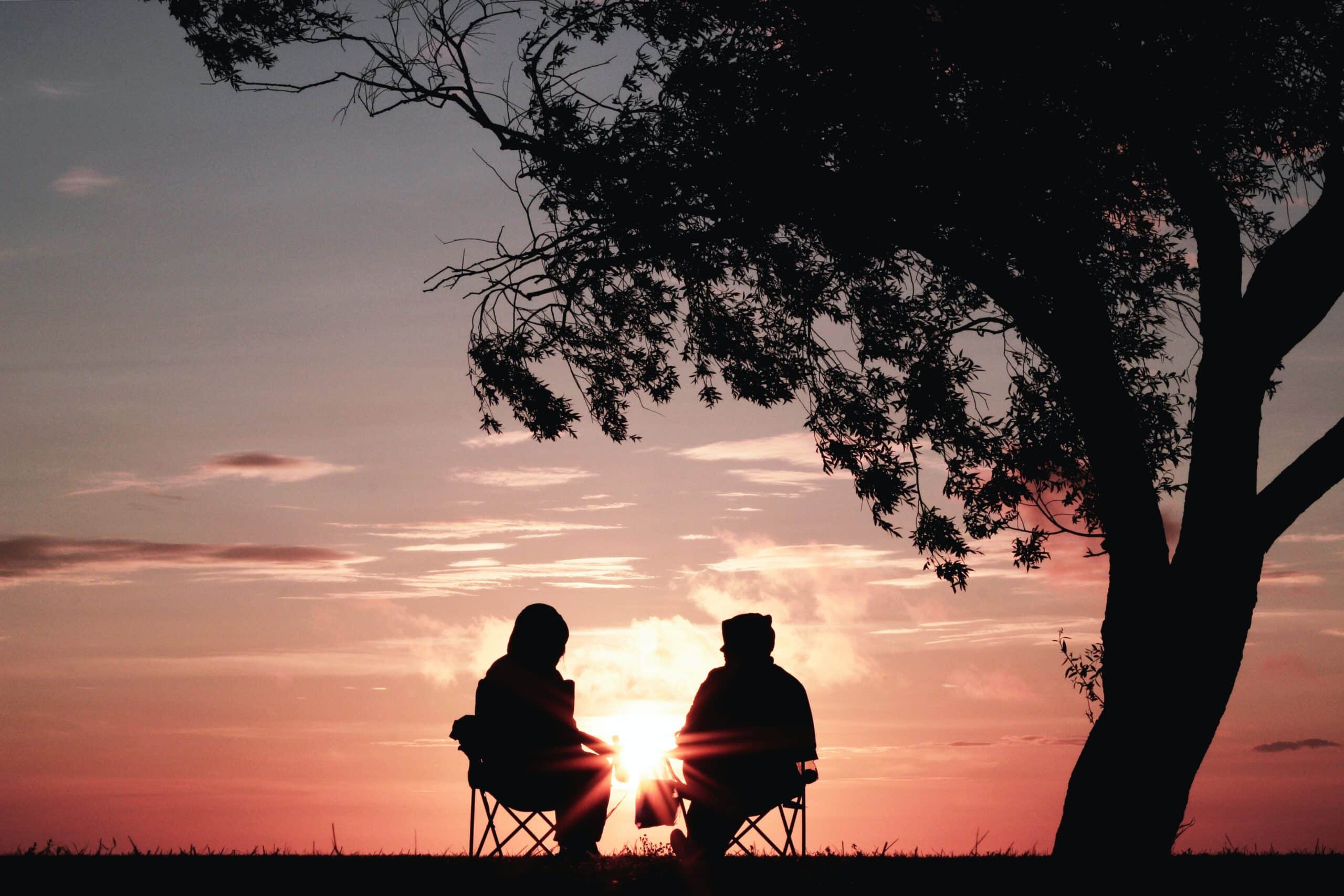Retired couple sitting, watching the sunset under a tree.