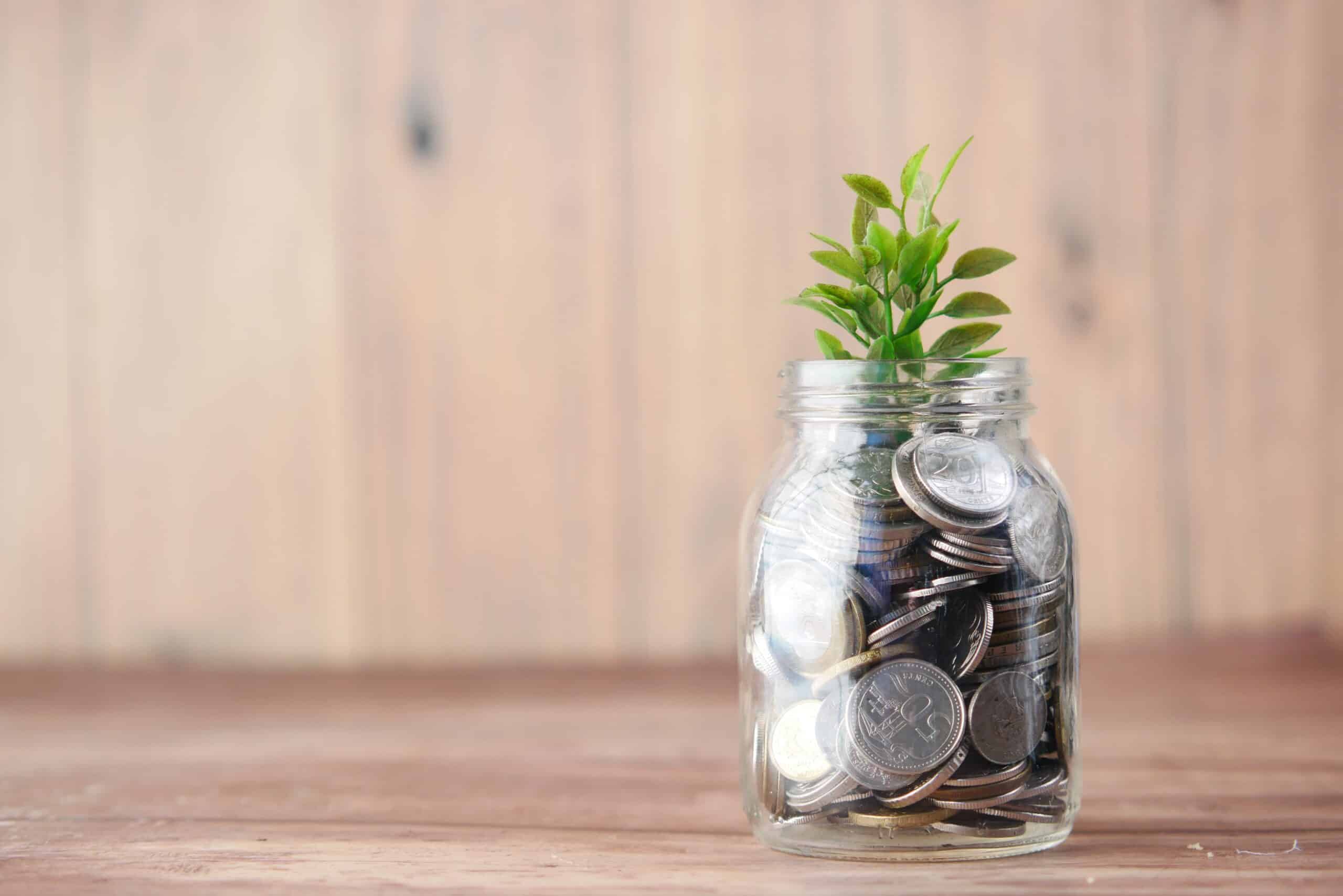 A jar with coins with a plant growing out of it to express the growth of savings.